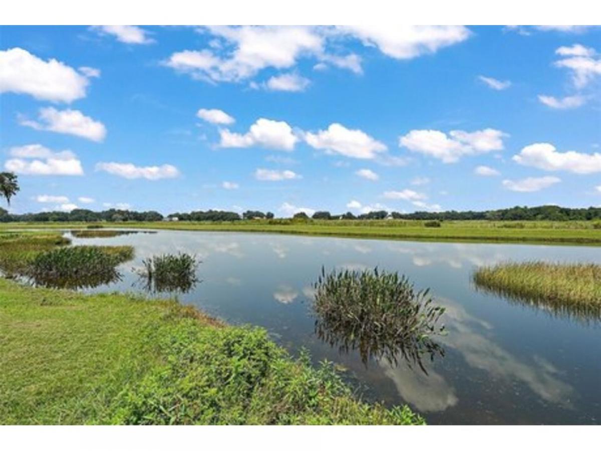 Picture of Home For Sale in Oxford, Florida, United States