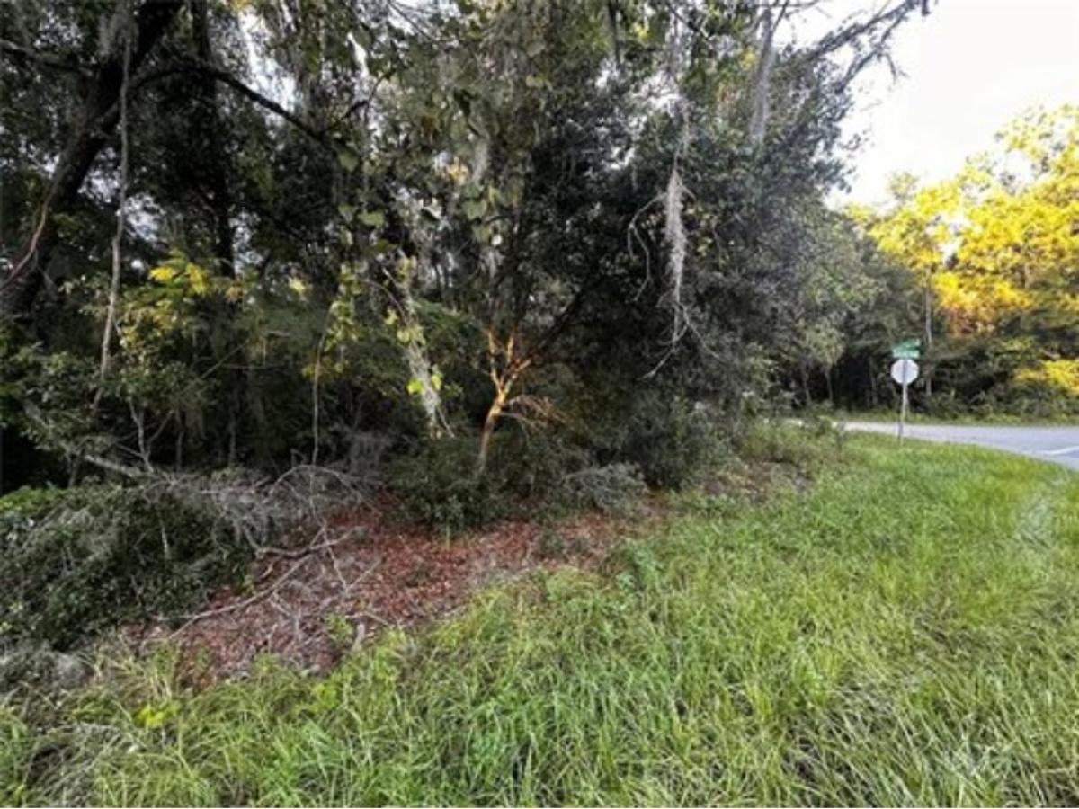 Picture of Residential Land For Sale in Ocala, Florida, United States