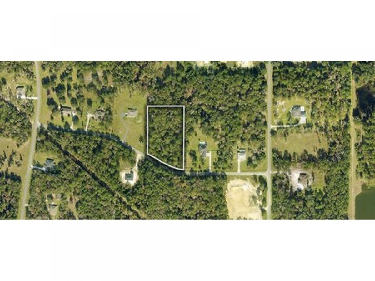 Picture of Residential Land For Sale in Williston, Florida, United States