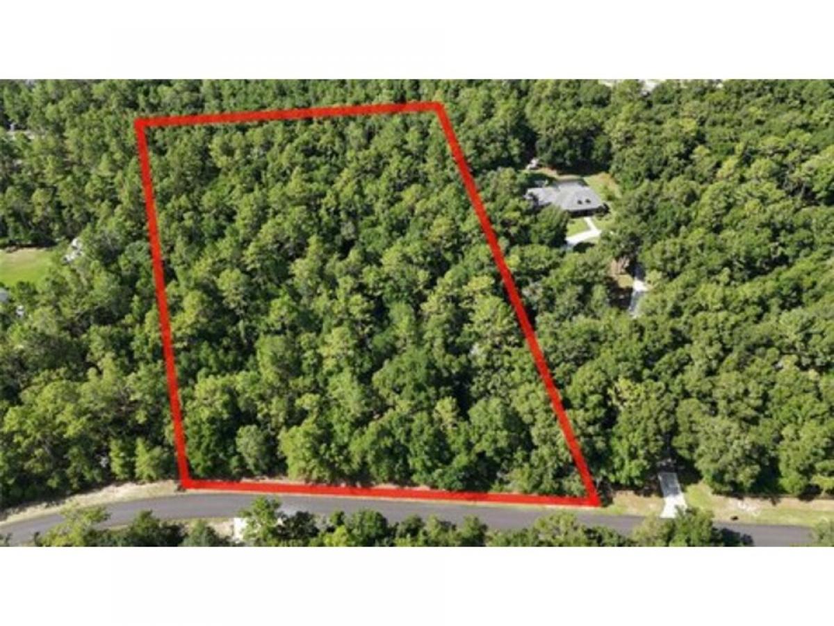 Picture of Residential Land For Sale in Silver Springs, Florida, United States