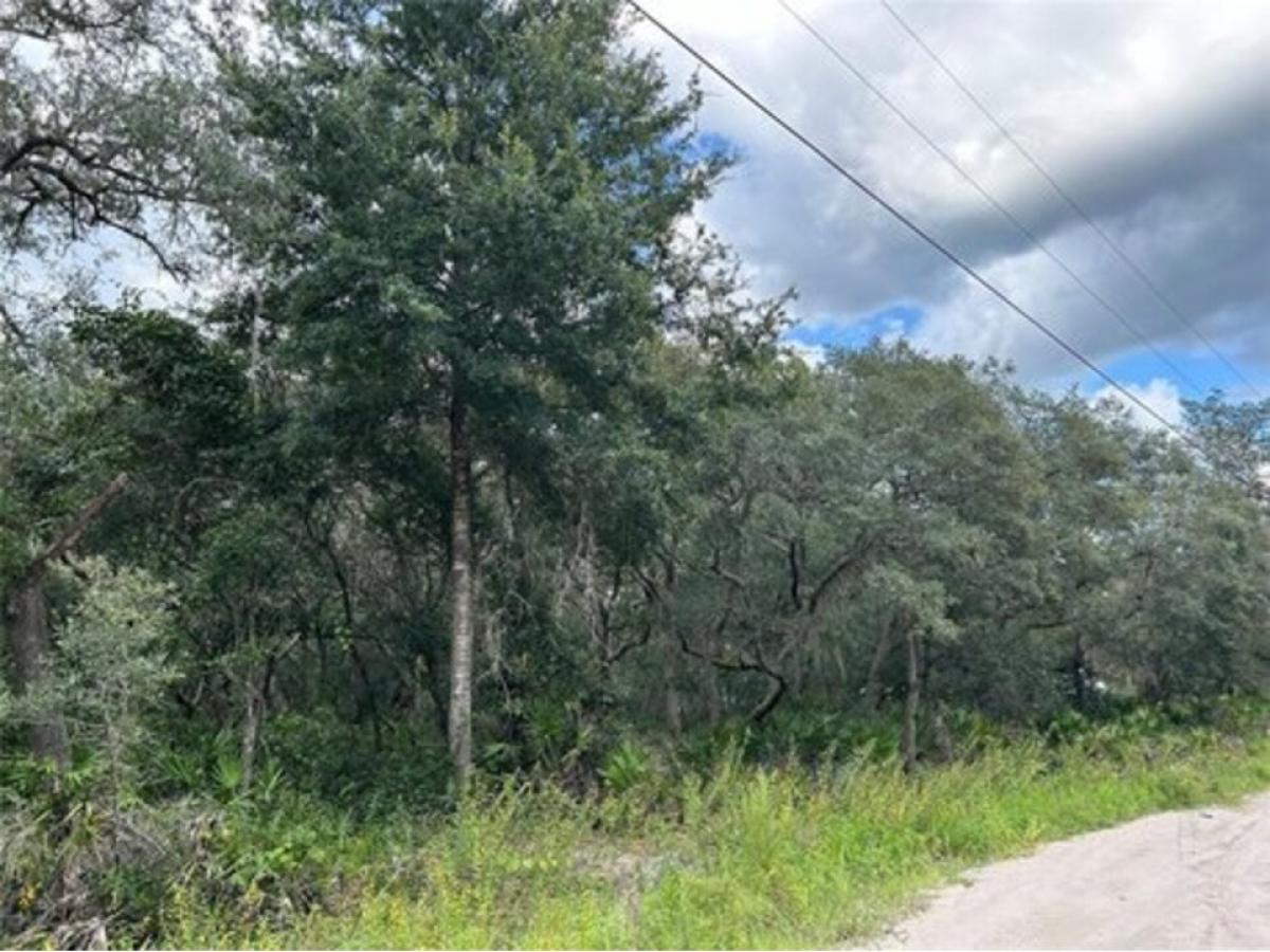 Picture of Residential Land For Sale in Dunnellon, Florida, United States