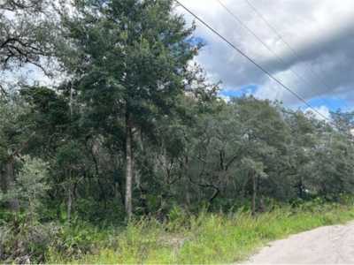 Residential Land For Sale in Dunnellon, Florida