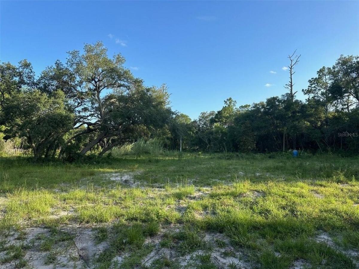 Picture of Residential Land For Sale in Dunnellon, Florida, United States