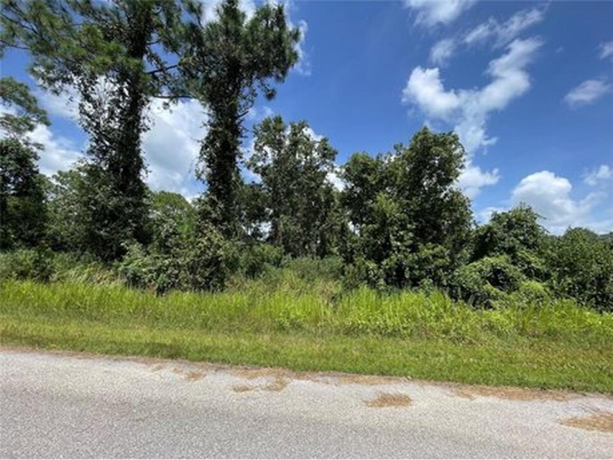 Picture of Residential Land For Sale in Sebring, Florida, United States