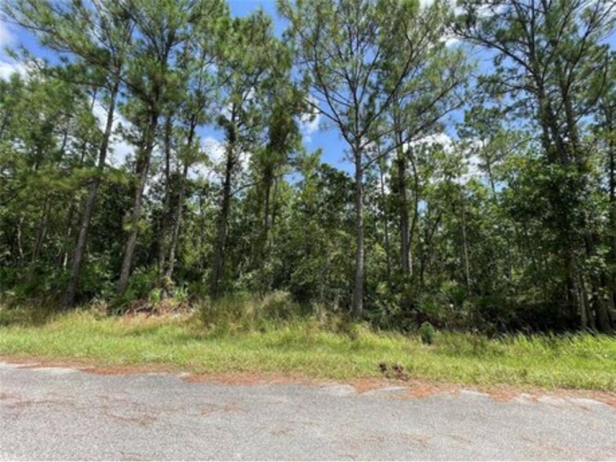 Picture of Residential Land For Sale in Sebring, Florida, United States