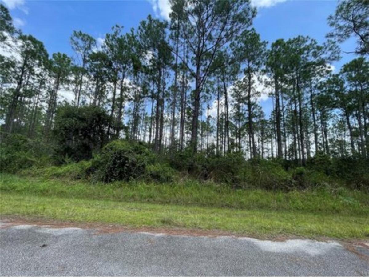 Picture of Residential Land For Sale in Sebring, Florida, United States