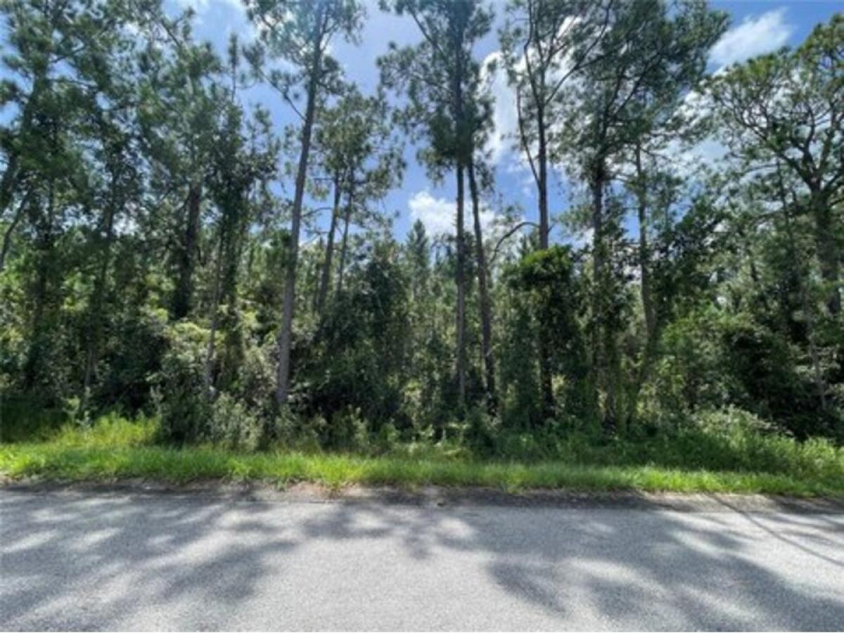 Picture of Residential Land For Sale in Sebring, Florida, United States