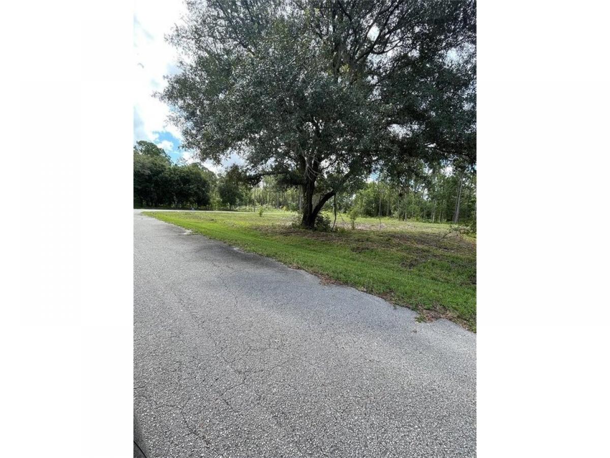 Picture of Residential Land For Sale in Sebring, Florida, United States