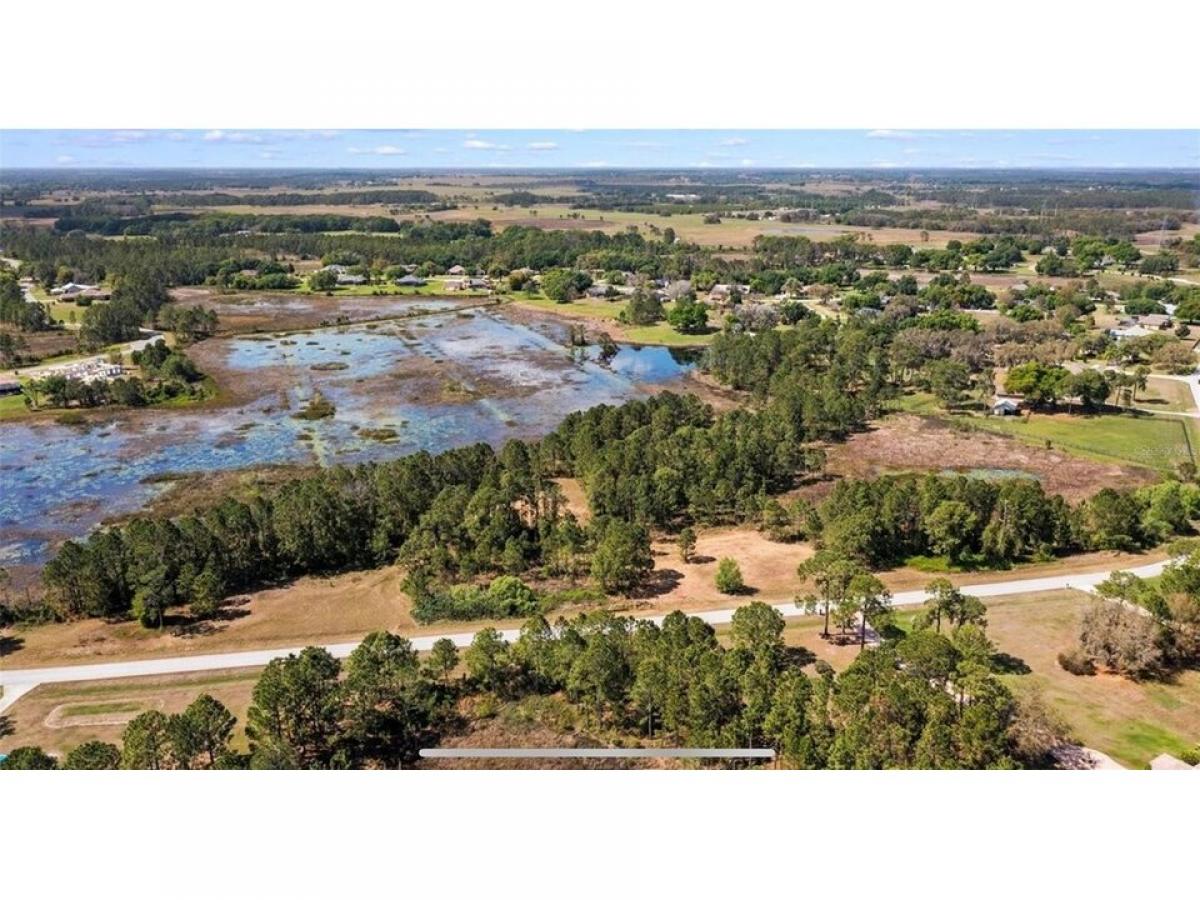 Picture of Residential Land For Sale in Clermont, Florida, United States