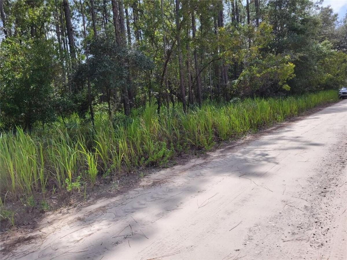 Picture of Residential Land For Sale in Bronson, Florida, United States