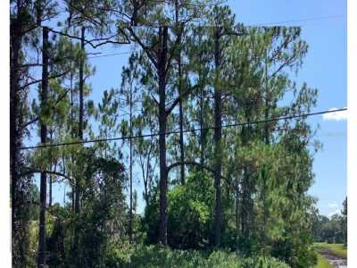 Residential Land For Sale in Orlando, Florida