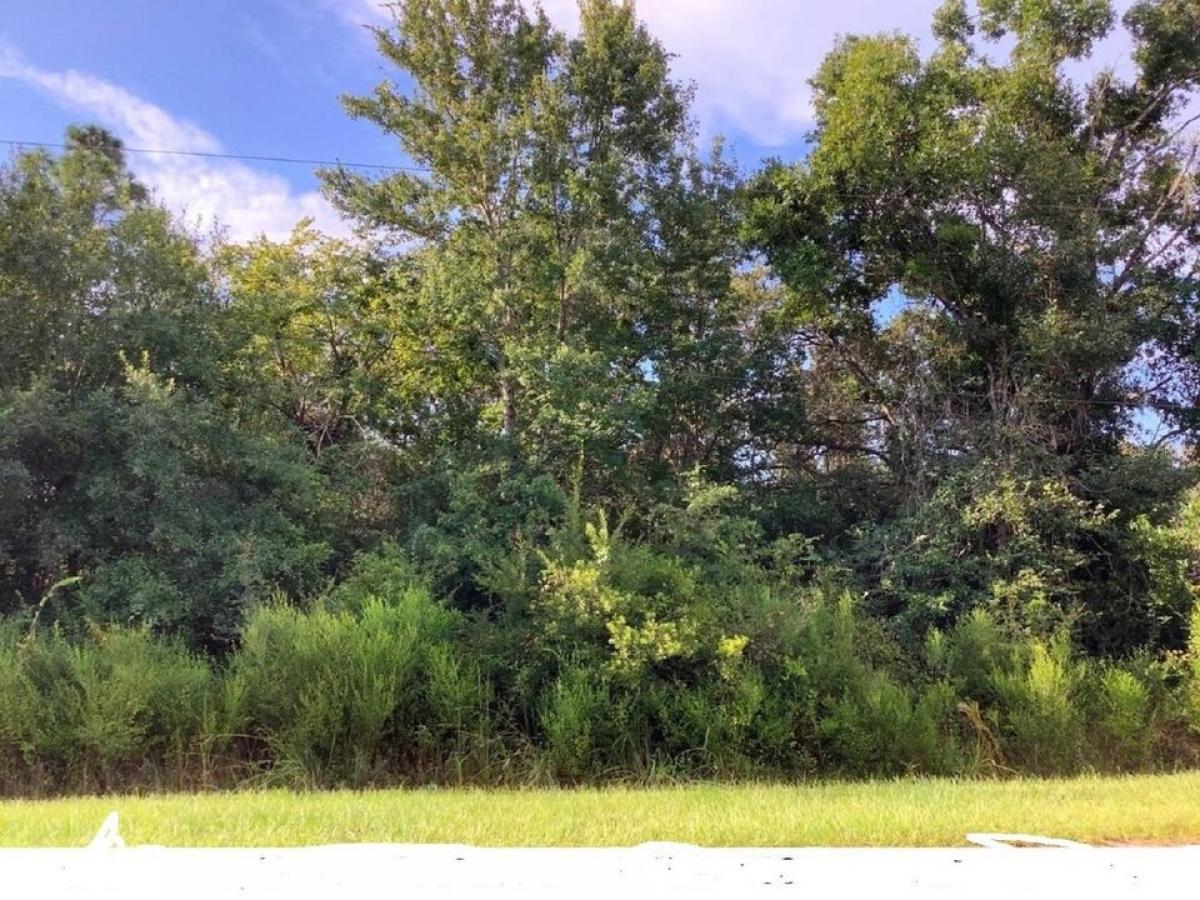 Picture of Residential Land For Sale in Orlando, Florida, United States