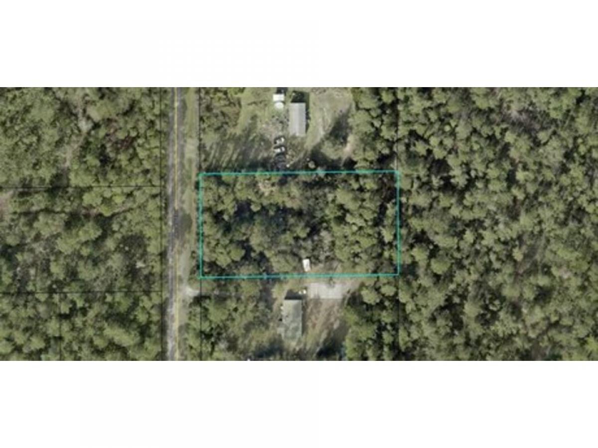 Picture of Residential Land For Sale in Bunnell, Florida, United States