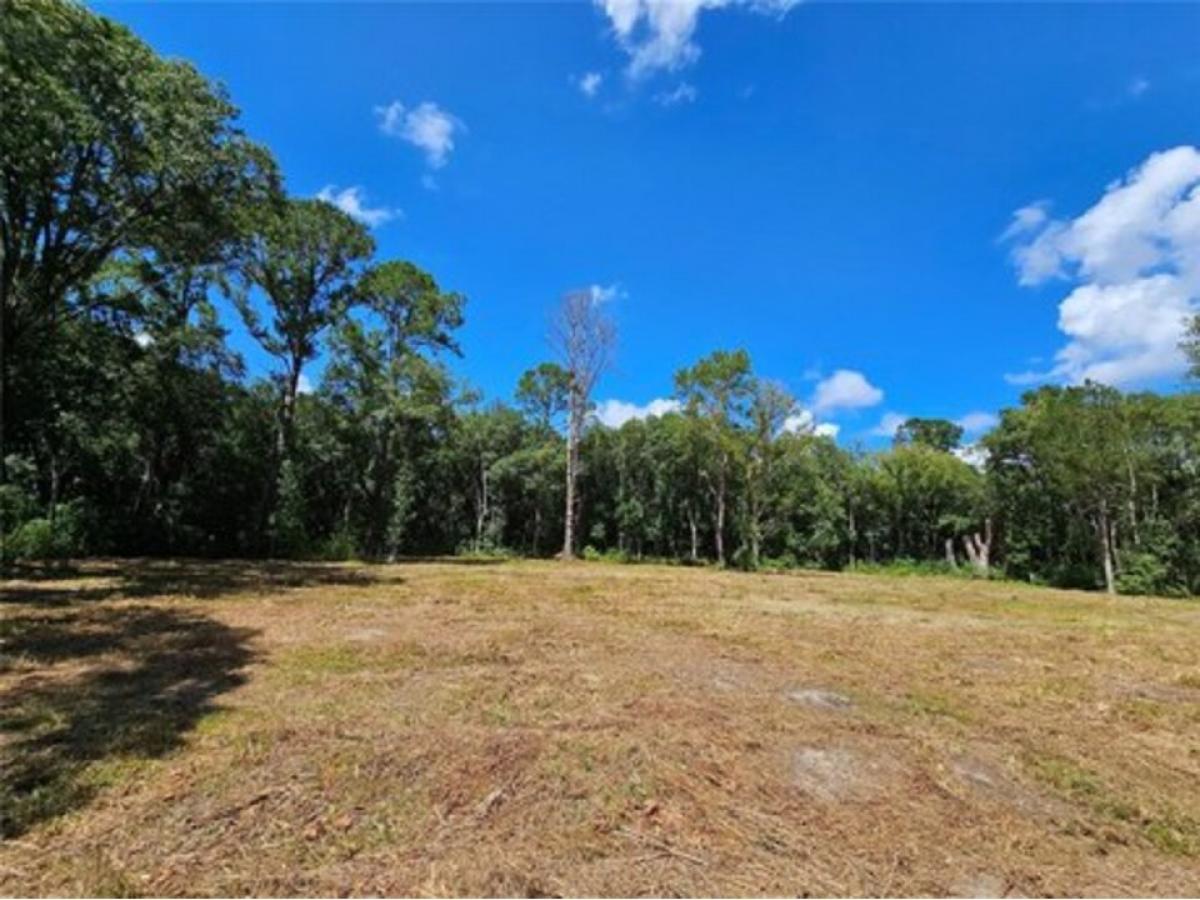 Picture of Residential Land For Sale in Bunnell, Florida, United States