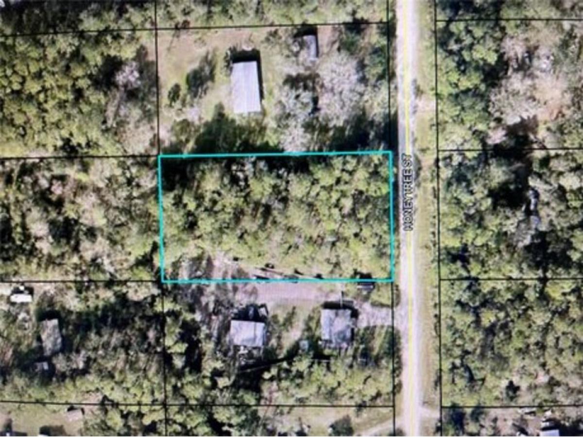 Picture of Residential Land For Sale in Bunnell, Florida, United States