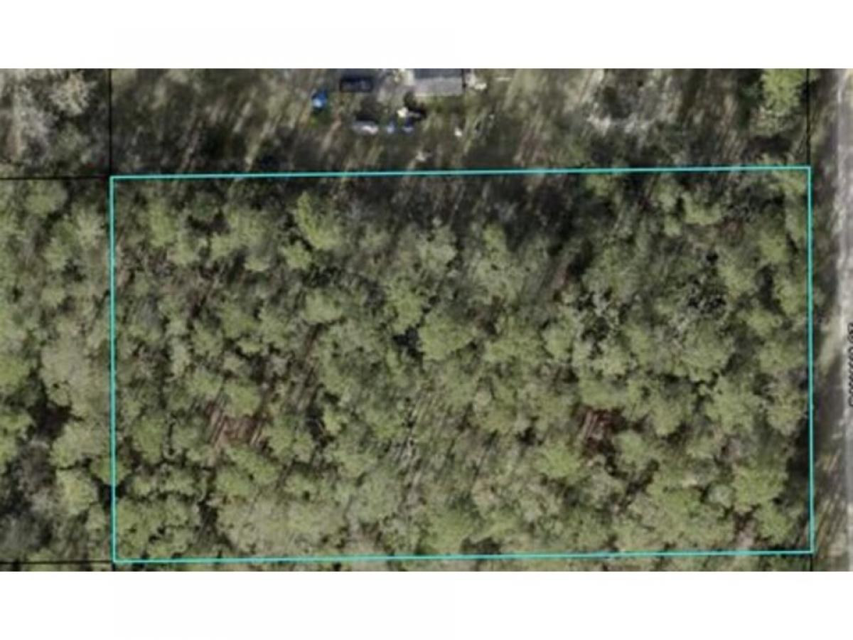 Picture of Residential Land For Sale in Bunnell, Florida, United States