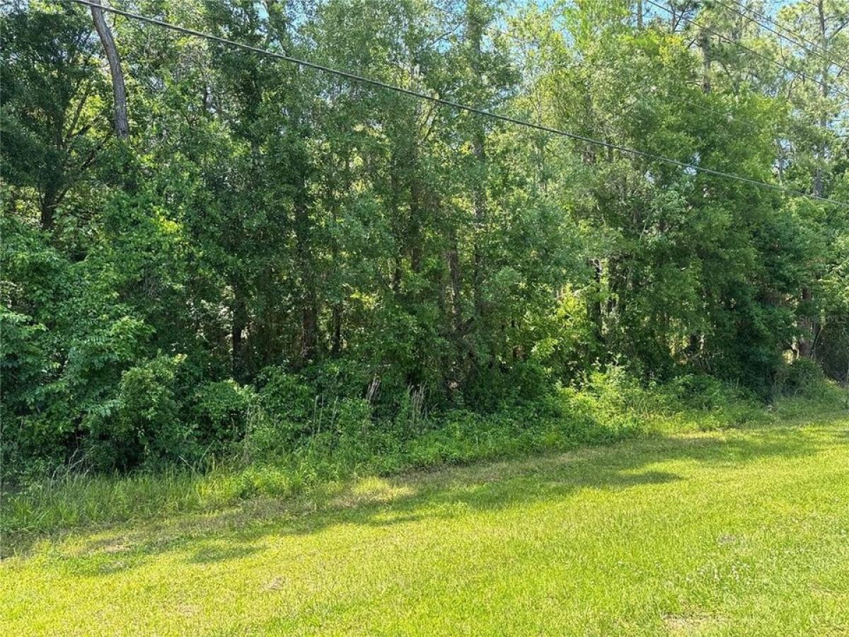 Picture of Residential Land For Sale in Bunnell, Florida, United States