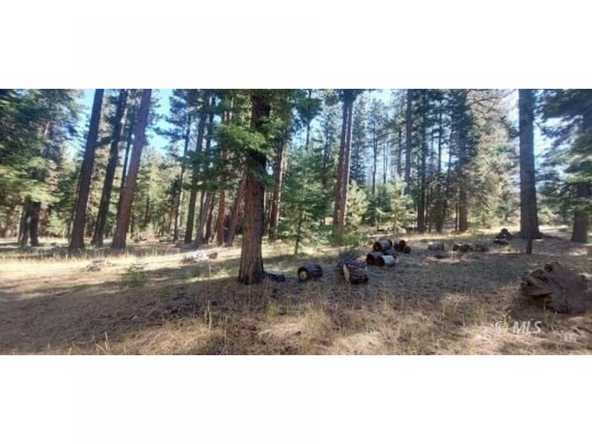 Picture of Residential Land For Sale in Alturas, California, United States