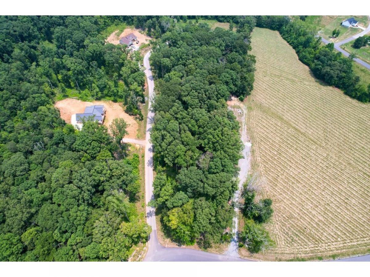 Picture of Residential Land For Sale in Dandridge, Tennessee, United States