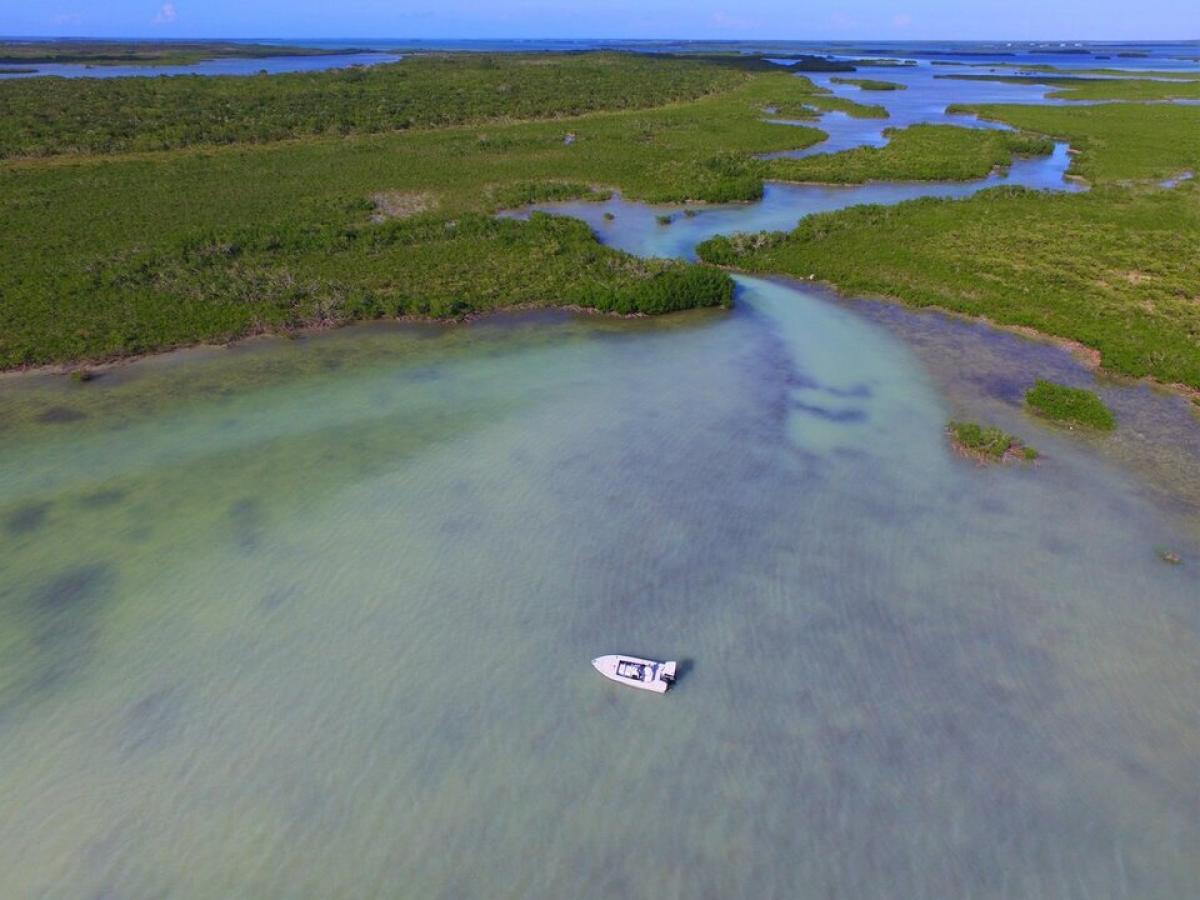 Picture of Residential Land For Sale in Summerland Key, Florida, United States