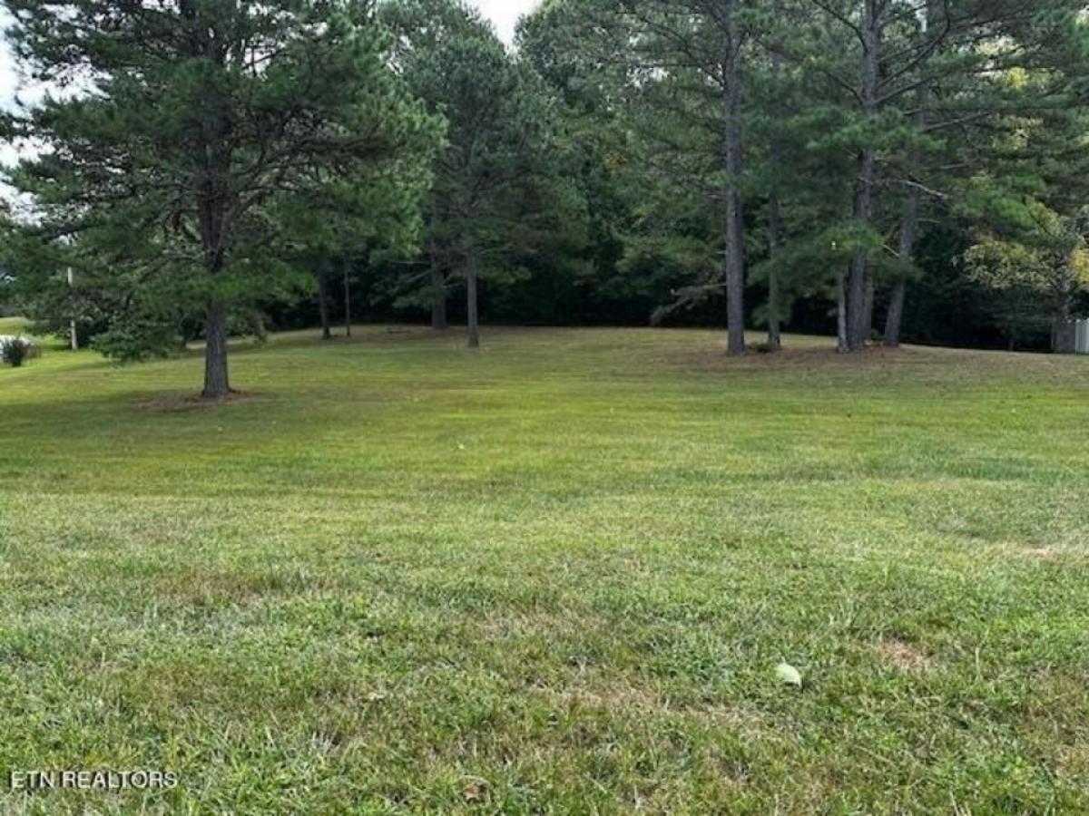 Picture of Residential Land For Sale in Sparta, Tennessee, United States