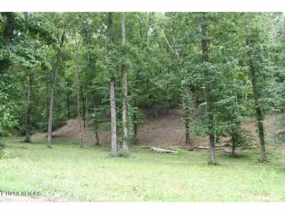 Residential Land For Sale in Dandridge, Tennessee