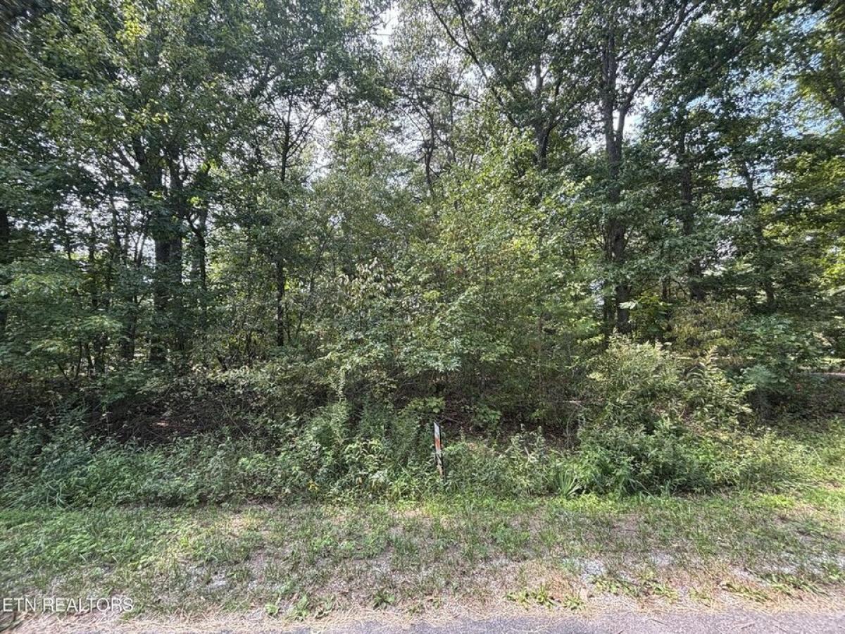 Picture of Residential Land For Rent in Crossville, Tennessee, United States