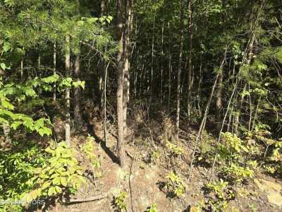 Residential Land For Sale in Crossville, Tennessee