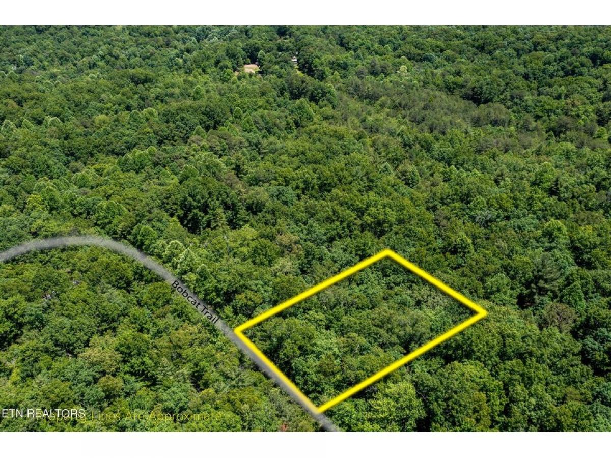 Picture of Residential Land For Sale in Tallassee, Tennessee, United States