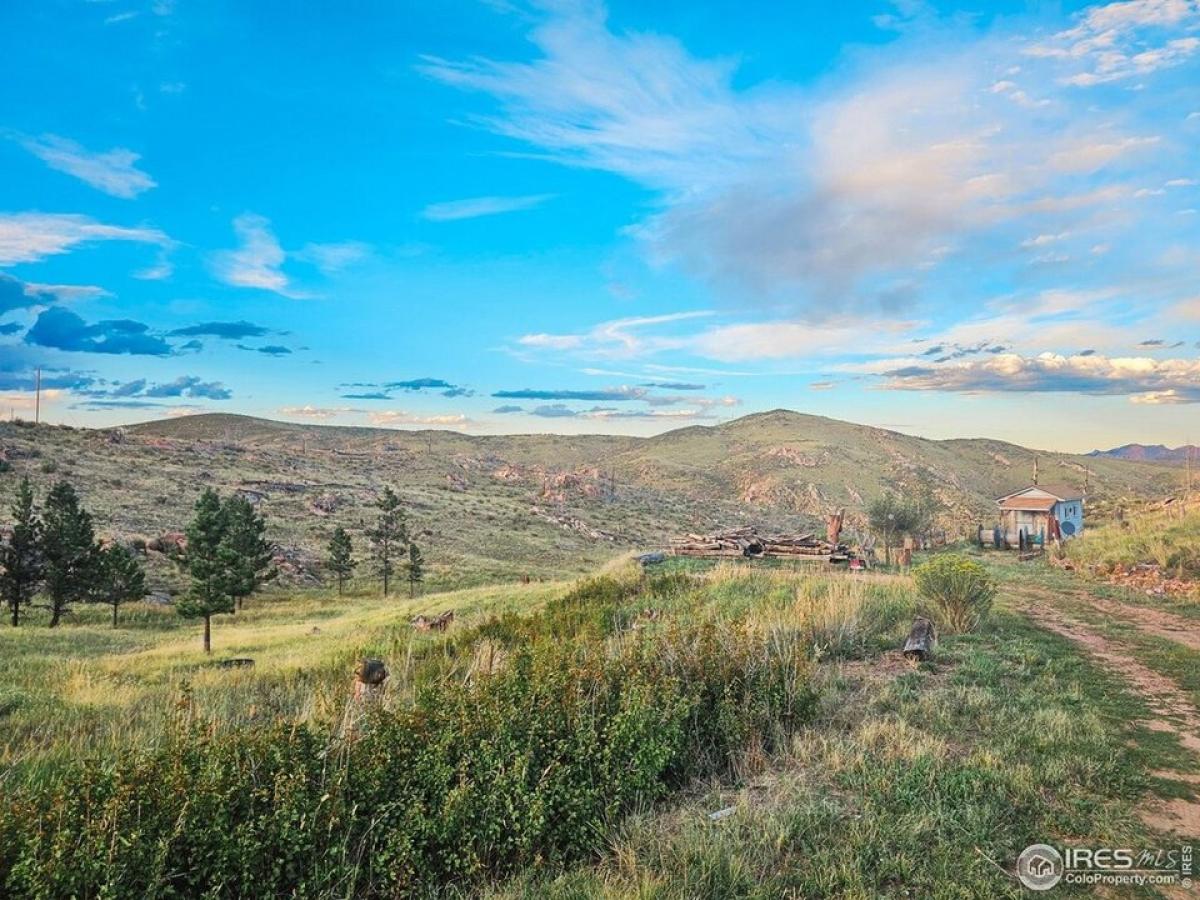 Picture of Residential Land For Sale in Livermore, Colorado, United States