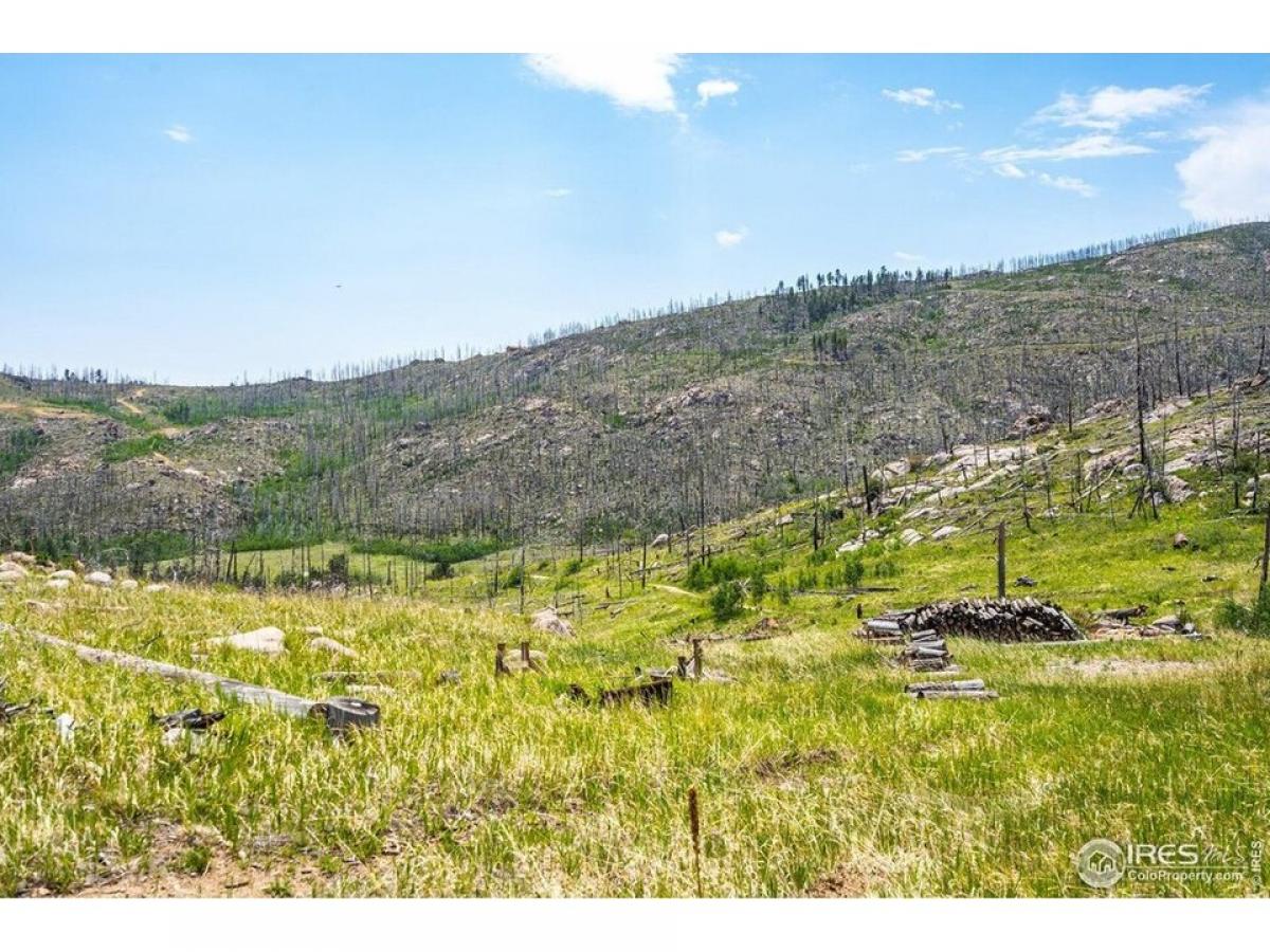 Picture of Residential Land For Sale in Bellvue, Colorado, United States