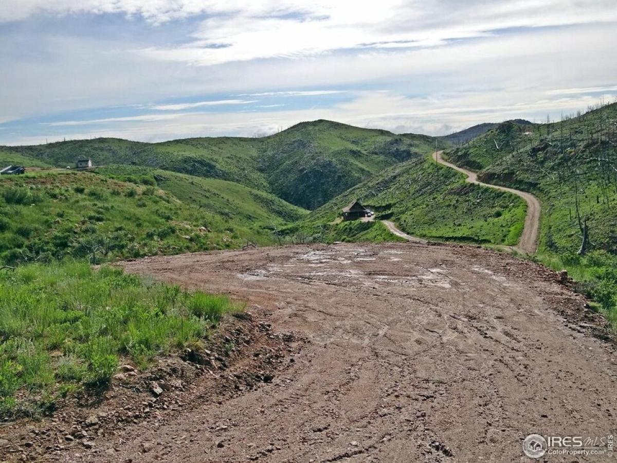 Picture of Residential Land For Sale in Livermore, Colorado, United States