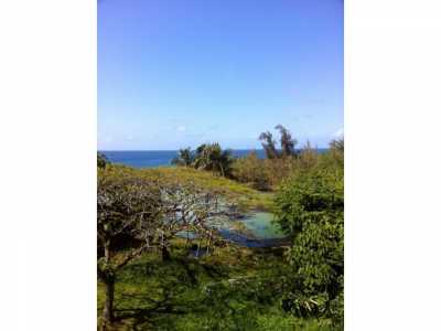 Home For Sale in Hilo, Hawaii