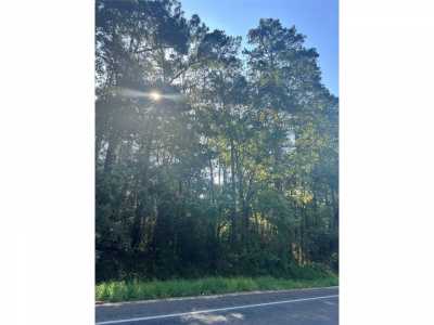 Residential Land For Sale in Dayton, Texas