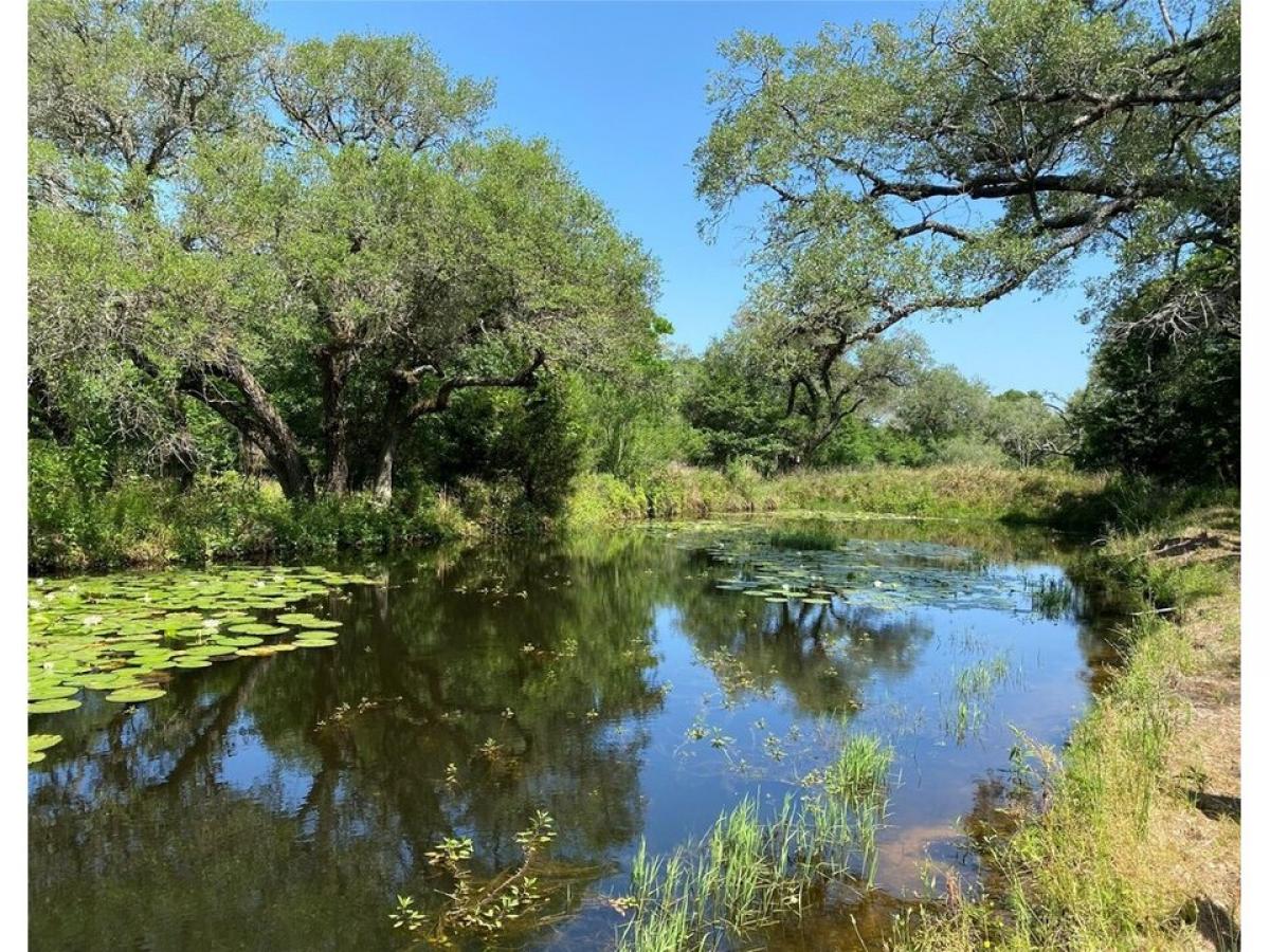 Picture of Residential Land For Sale in Garwood, Texas, United States