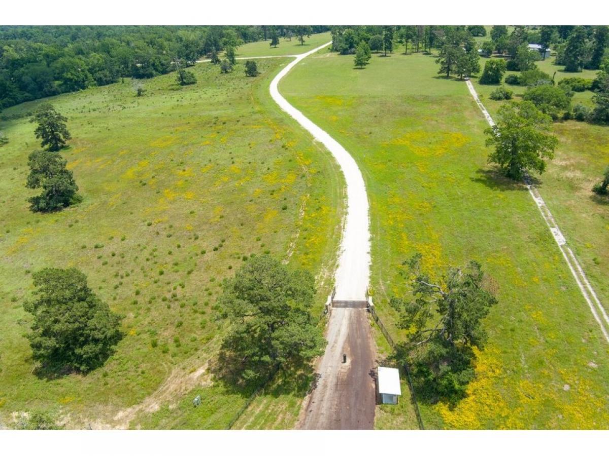 Picture of Residential Land For Sale in Centerville, Texas, United States