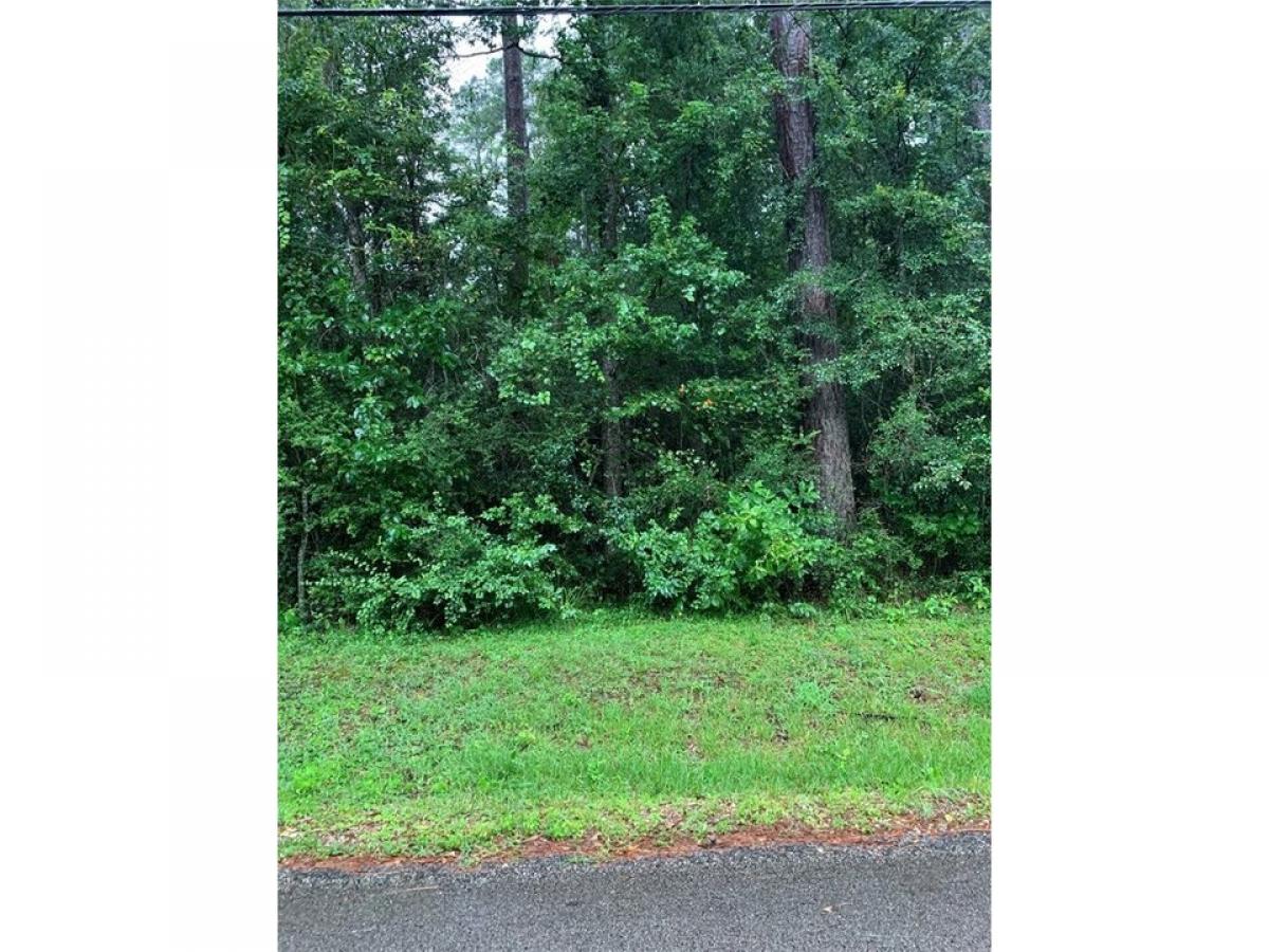 Picture of Residential Land For Sale in Montgomery, Texas, United States