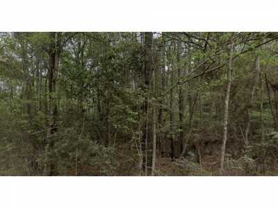 Residential Land For Sale in Coldspring, Texas