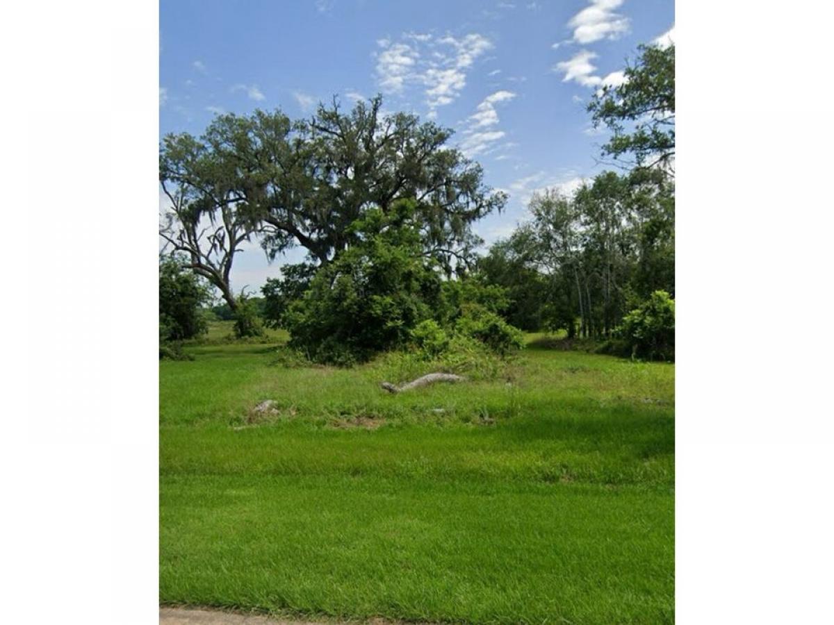 Picture of Residential Land For Sale in Angleton, Texas, United States