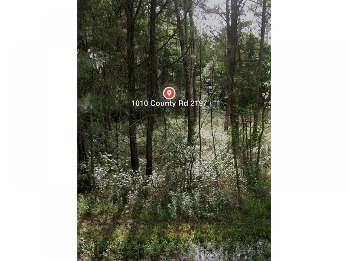 Picture of Residential Land For Sale in Cleveland, Texas, United States