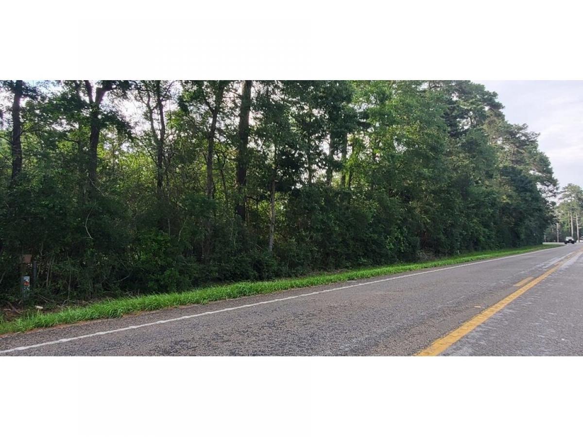 Picture of Residential Land For Sale in Conroe, Texas, United States