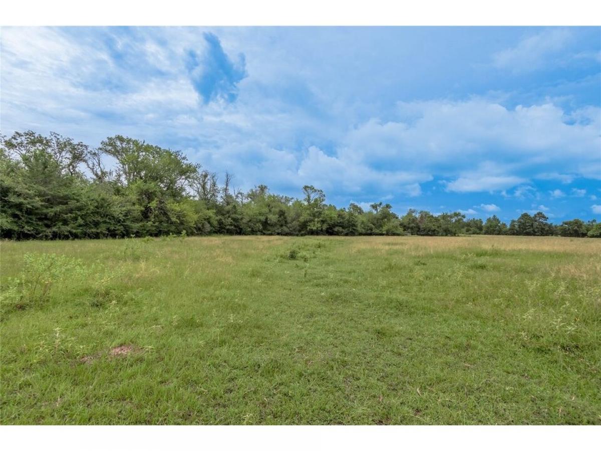 Picture of Residential Land For Sale in Richards, Texas, United States