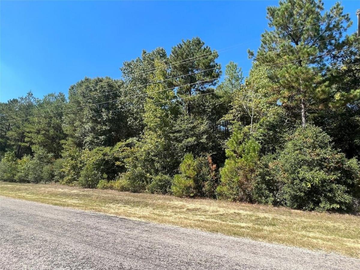 Picture of Residential Land For Sale in Huntsville, Texas, United States