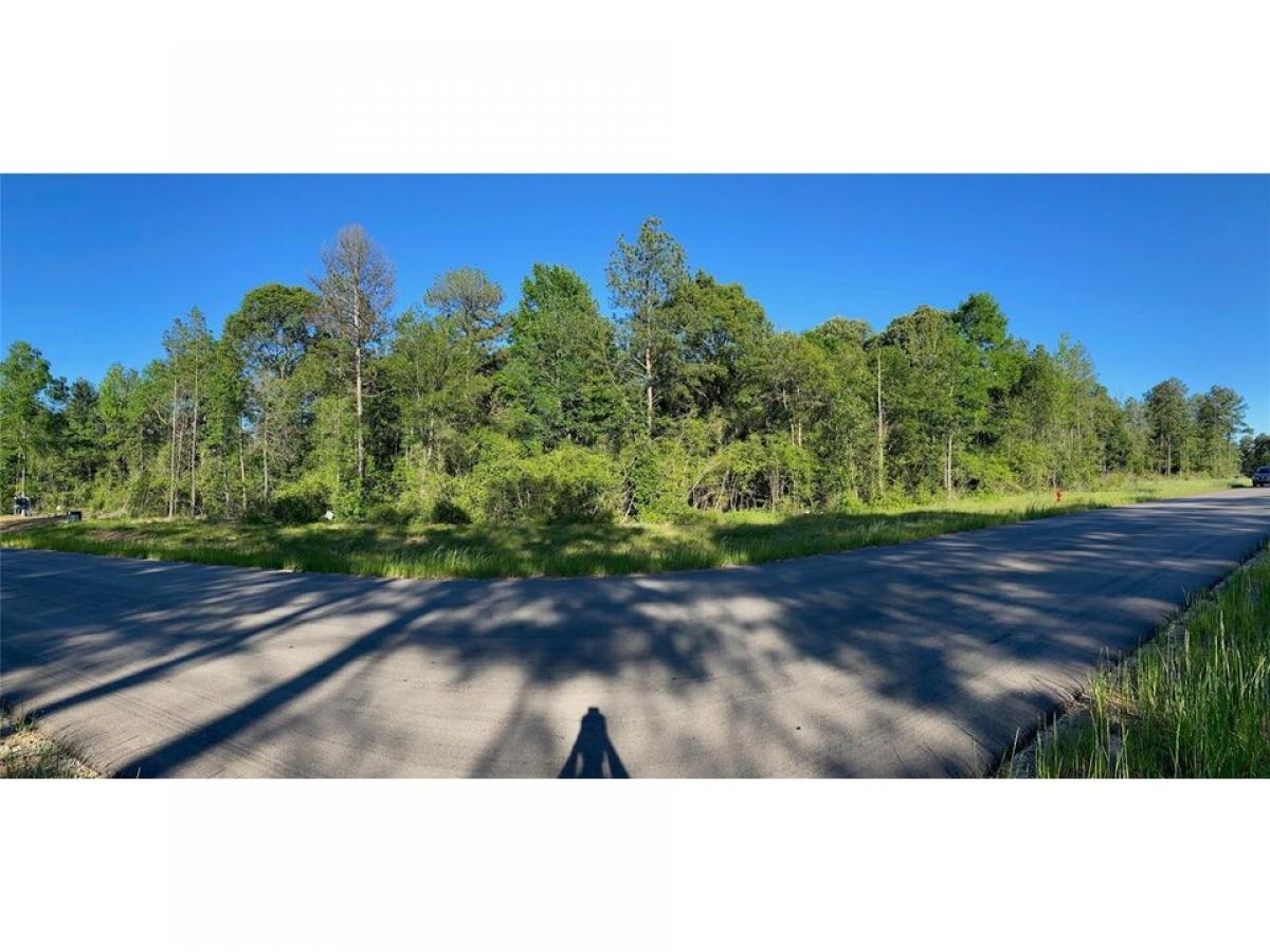 Picture of Residential Land For Sale in Willis, Texas, United States