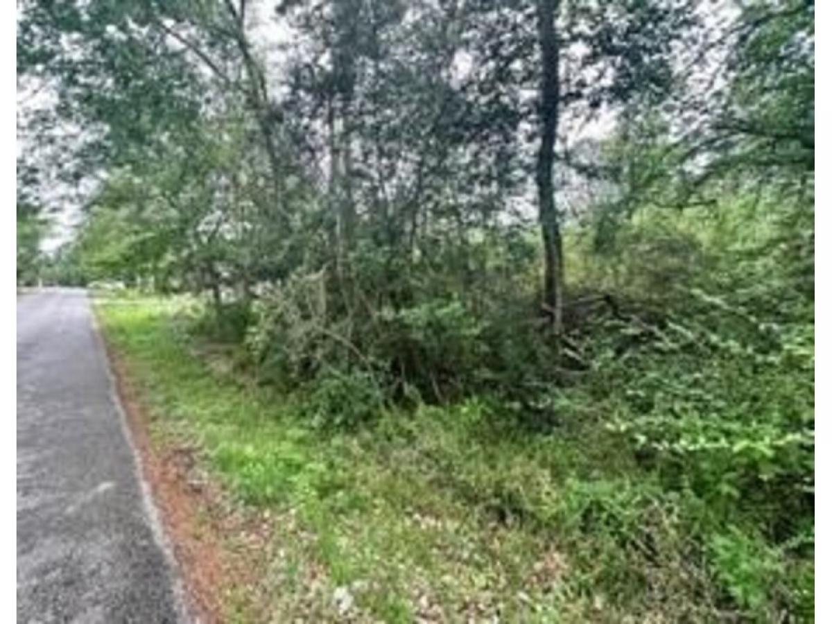 Picture of Residential Land For Sale in Conroe, Texas, United States