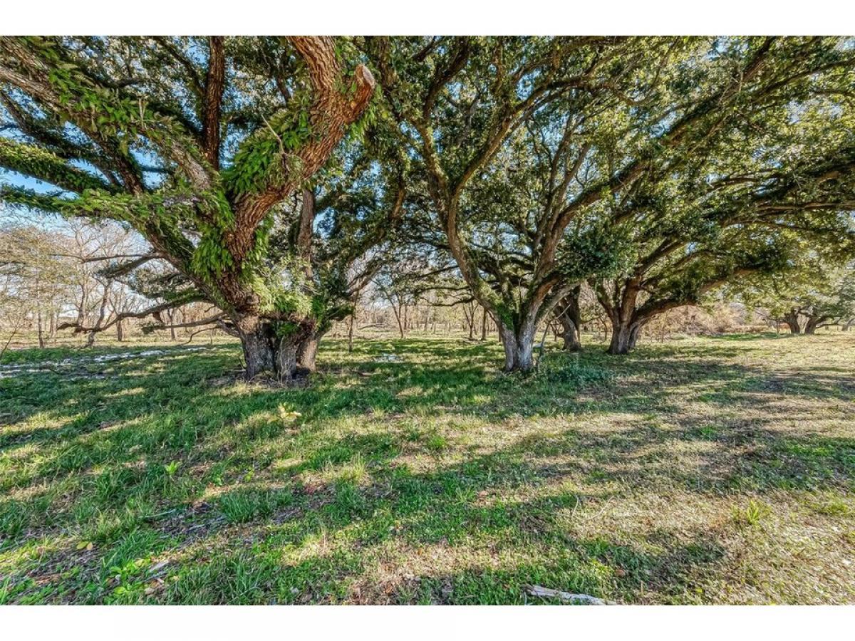 Picture of Residential Land For Sale in Guy, Texas, United States