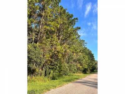 Residential Land For Sale in Dayton, Texas