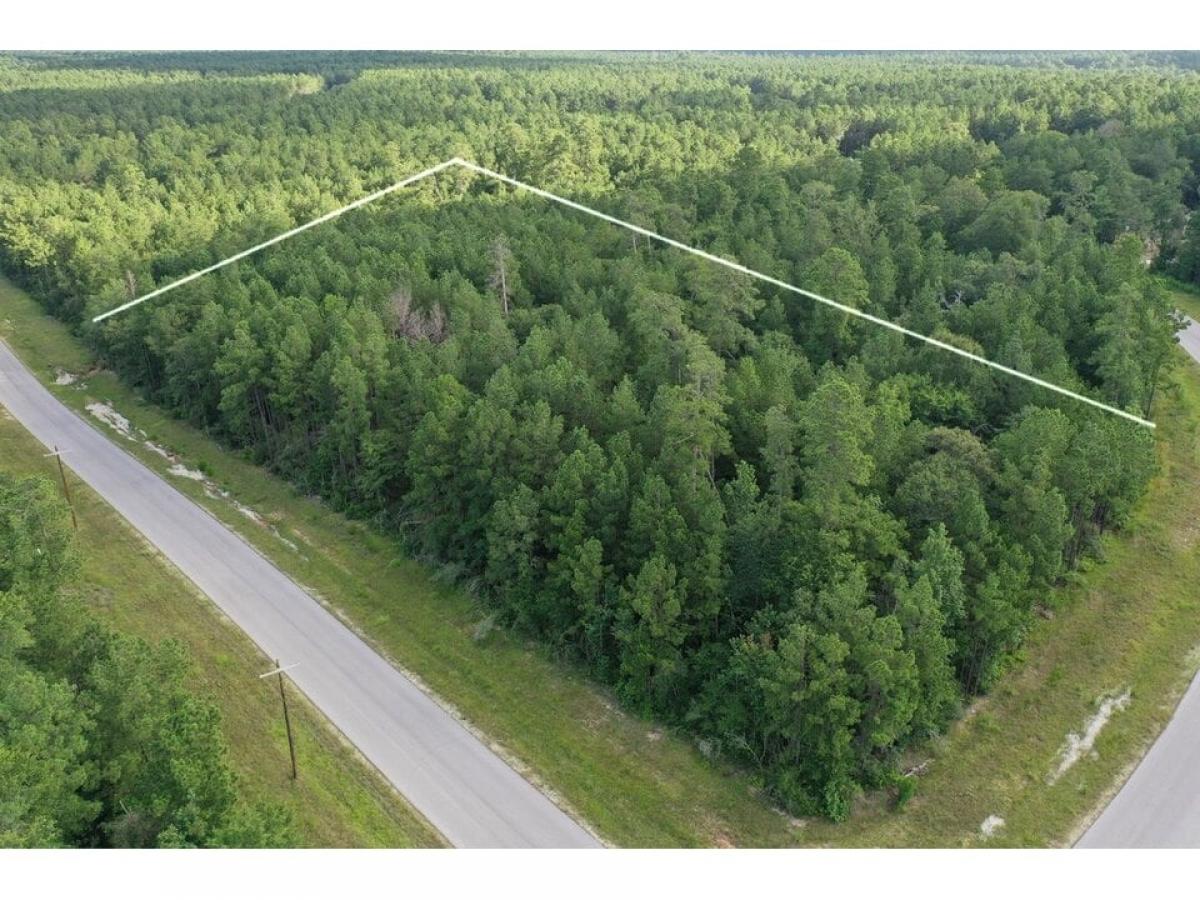 Picture of Residential Land For Sale in Huntsville, Texas, United States