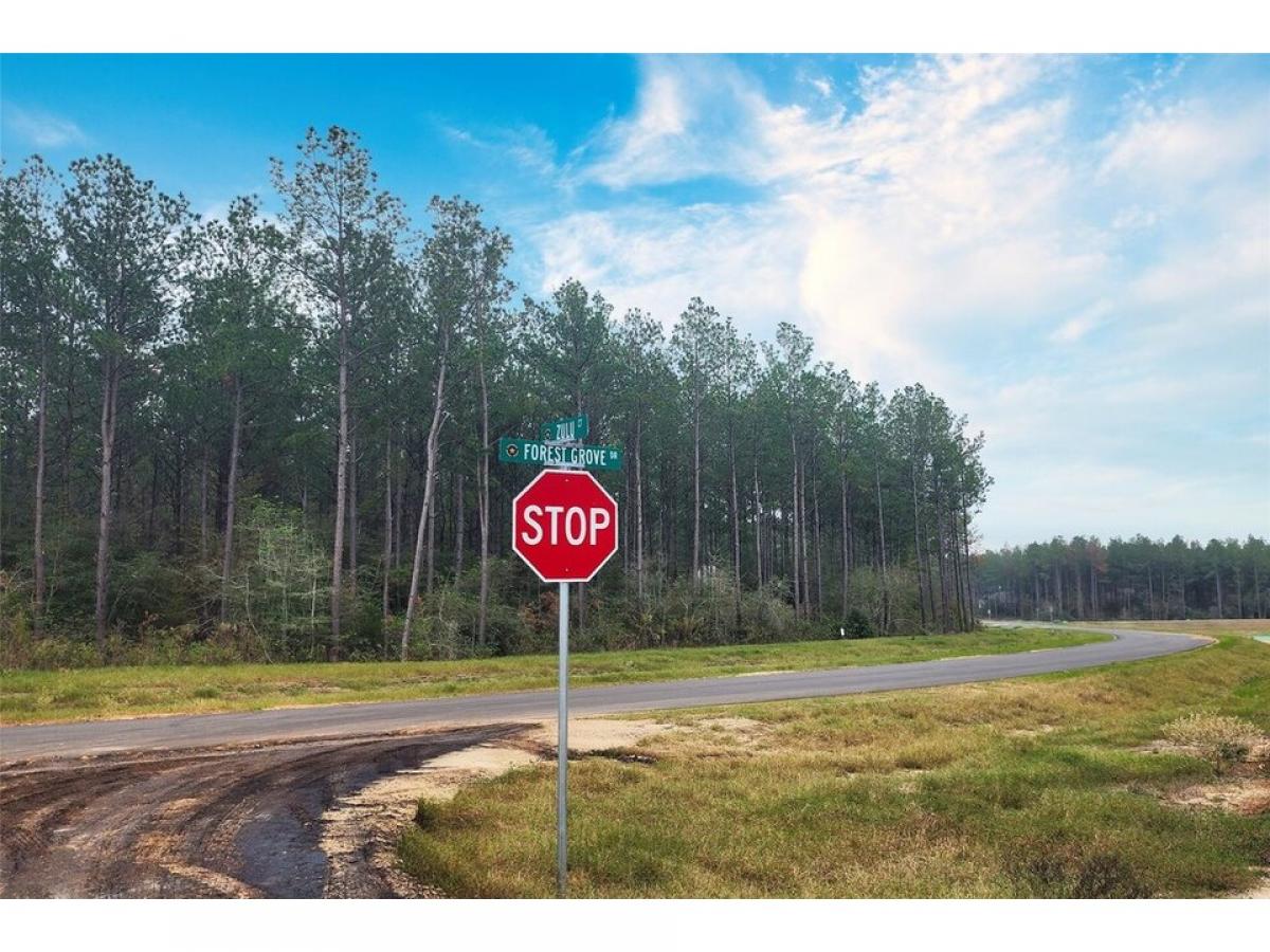 Picture of Residential Land For Sale in Willis, Texas, United States