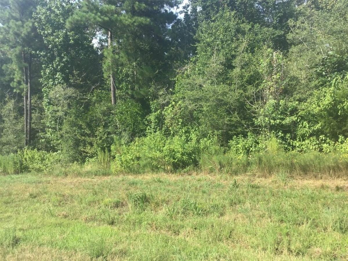 Picture of Residential Land For Sale in Huntsville, Texas, United States